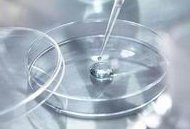 2026年三代试管婴儿第三代价格揭秘，一文看懂多少钱？