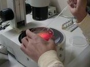 2026合肥试管婴儿费用全解析，透明清单大公开