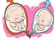 2026合肥助孕机构推荐指南：揭秘可靠之选，助您安心生育