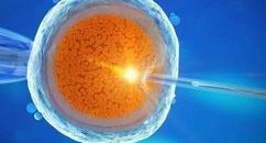 2026国内满足特定条件助孕生子合法，分析国内试管助孕现状