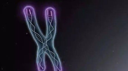 2026中信湘雅试管婴儿单周期费用公布(比你想象中便宜很多)