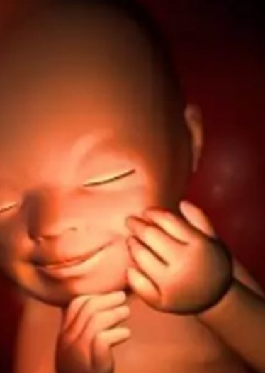 2026厦门第一医院试管婴儿费用一览，详述费用构成